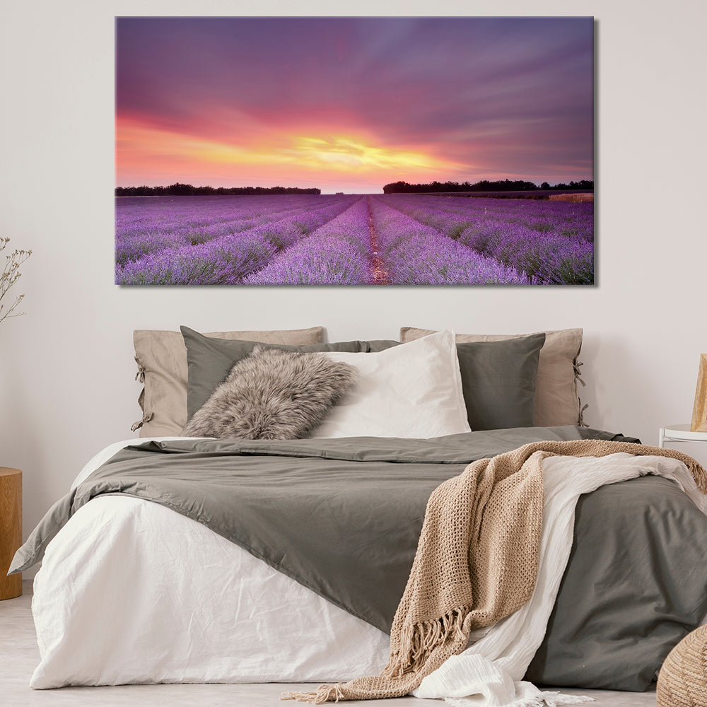 Lavender fields