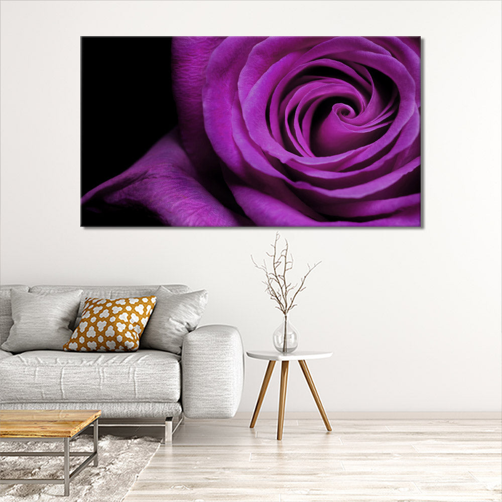 A single purple rose
