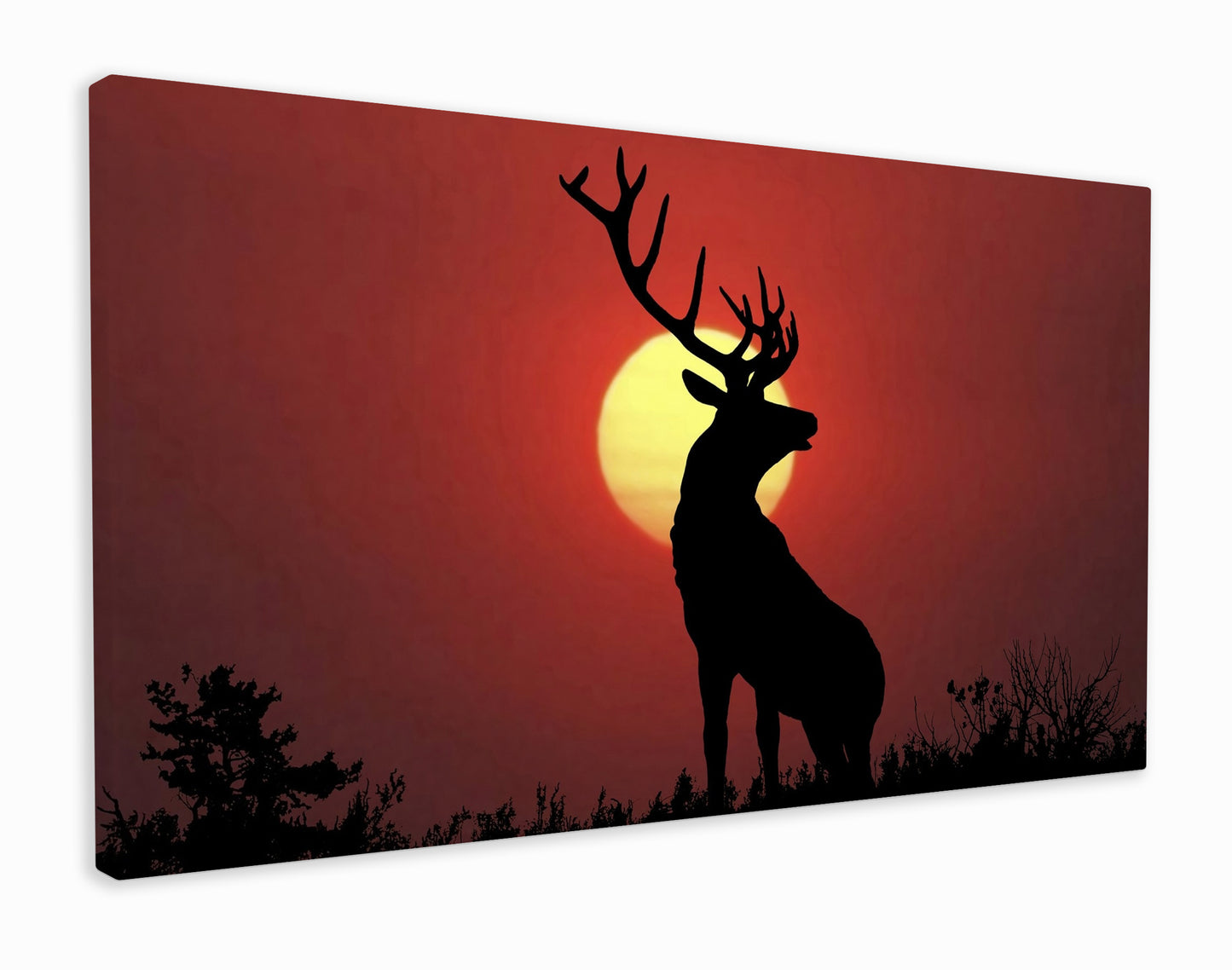Deer in the sunset